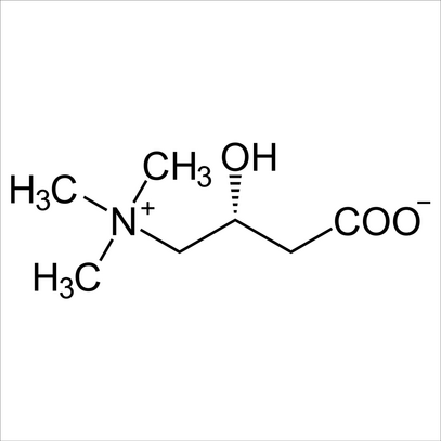 L-CARNITIN KURZ ERKLÄRT
