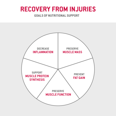 ERNÄHRUNG BEI VERLETZUNG