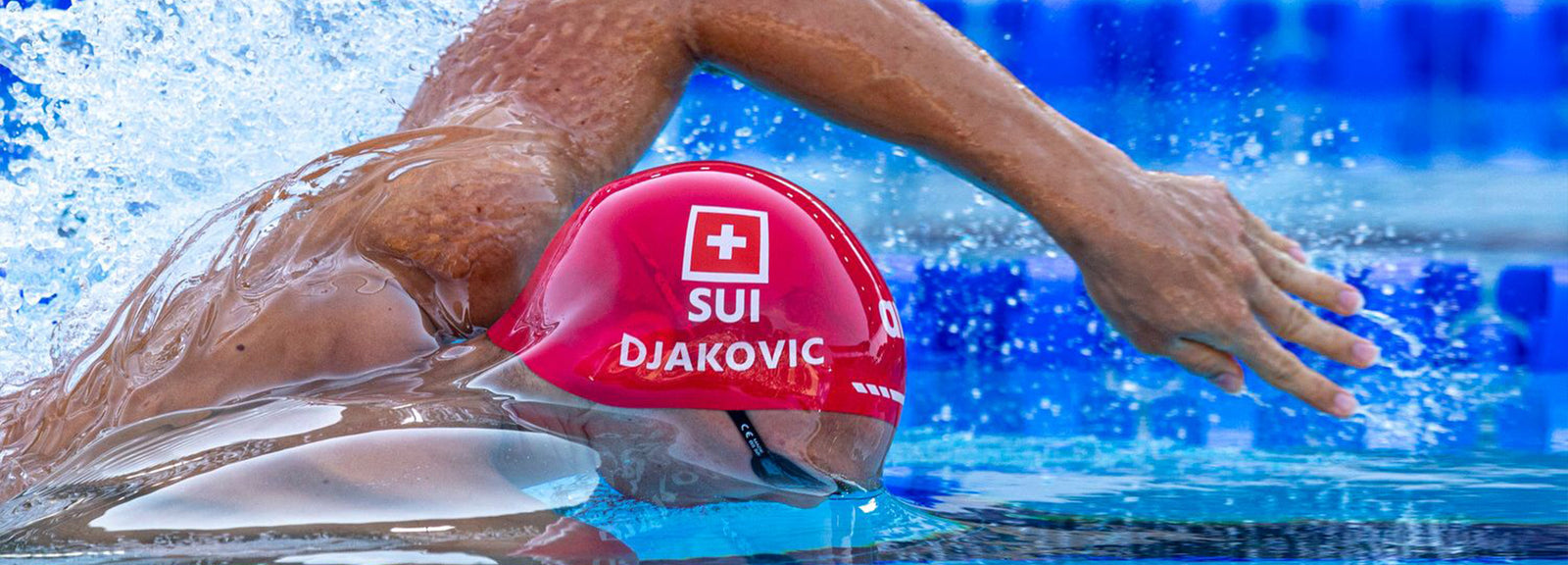 ANTONIO DJAKOVIC