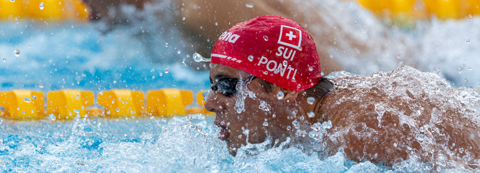 NOÈ PONTI